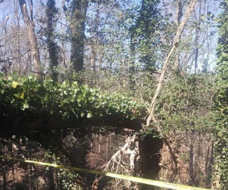 Harbour East Village