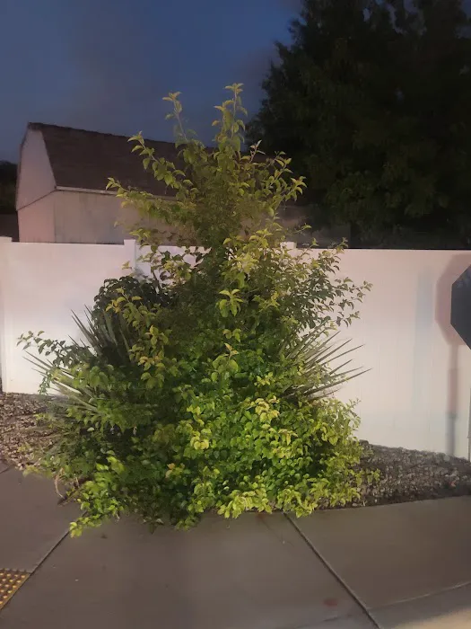 Parkway Manufactured Housing Community Picture 1