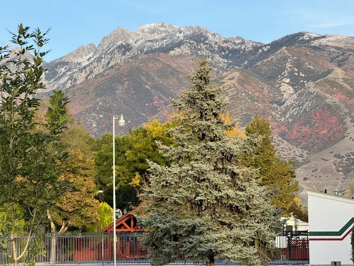 Mountain Shadows RV Park Picture 7