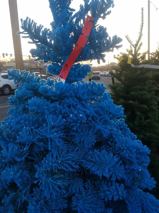 Sandee Village Mobile Home Park Picture 8