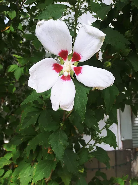 Sandee Village Mobile Home Park Picture 7