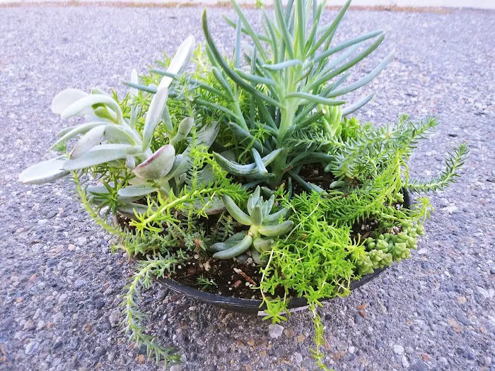 Sandee Village Mobile Home Park Picture 10