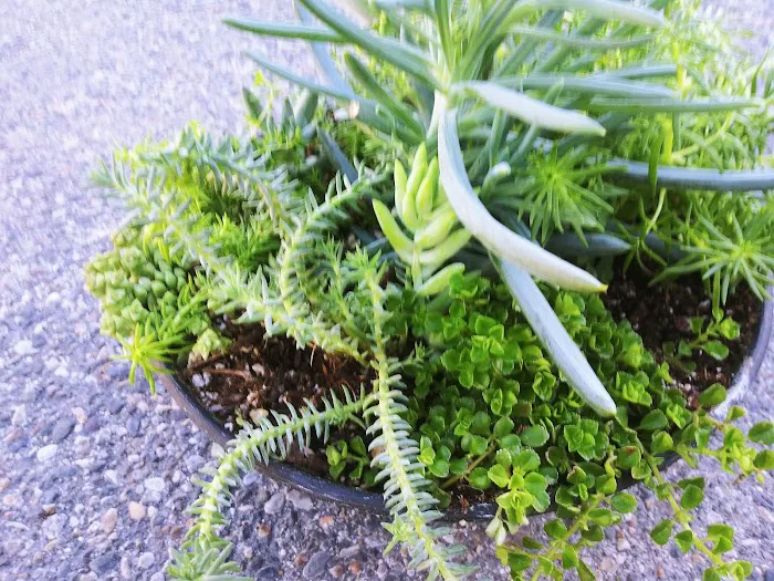 Sandee Village Mobile Home Park Picture 5