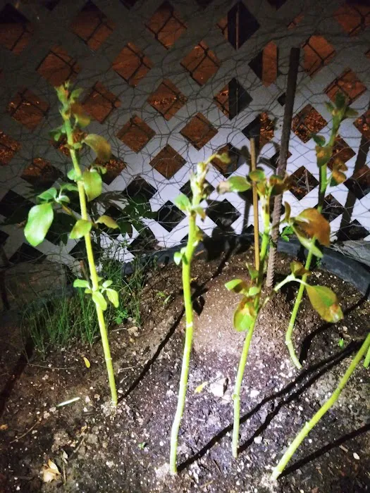 Sandee Village Mobile Home Park Picture 9