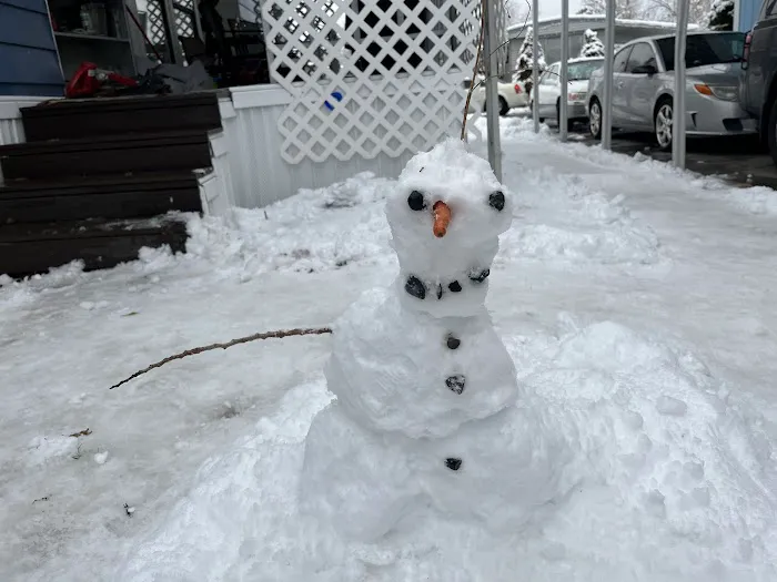 Majestic Oaks Picture 7