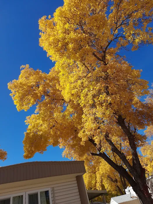 American Heritage Retirement Community Picture 8