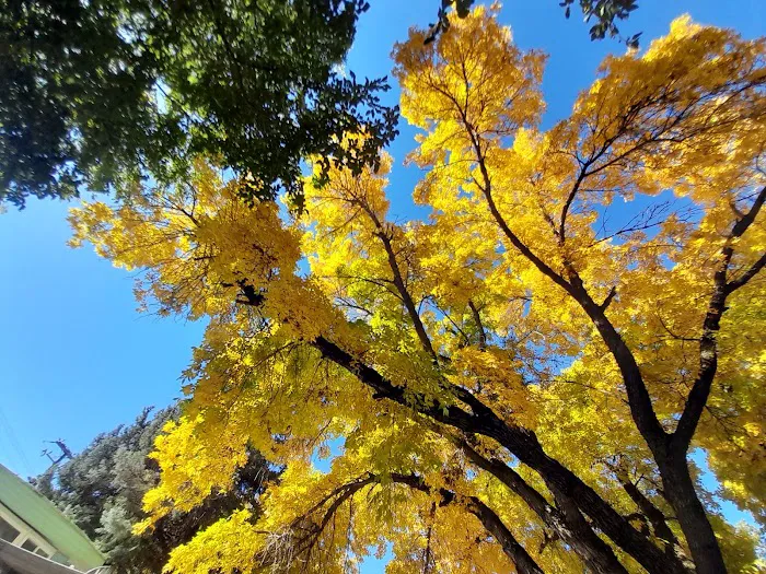 American Heritage Retirement Community Picture 6