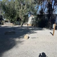 Mary West Trailers ico