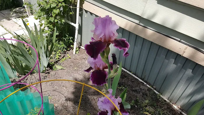 Sherwood Forest Mobile Home Picture 9