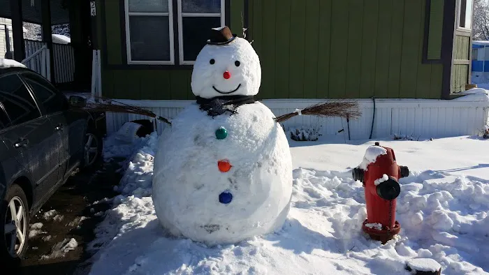 Sherwood Forest Mobile Home Picture 5