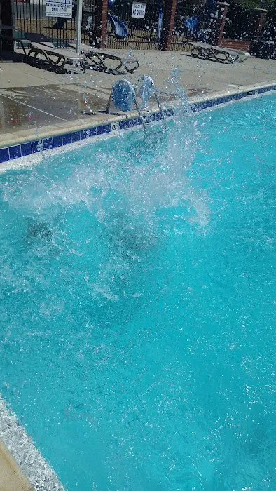 Camp VIP RV Park Picture 3