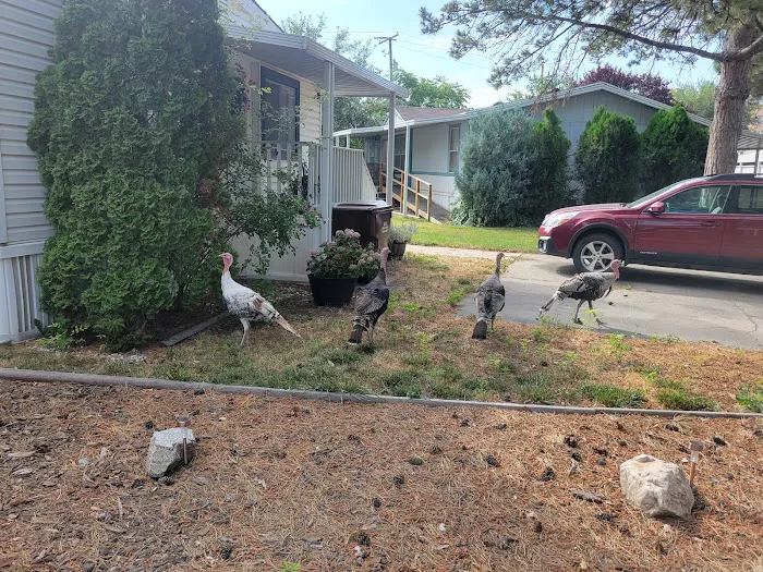 All Seasons Picture 5