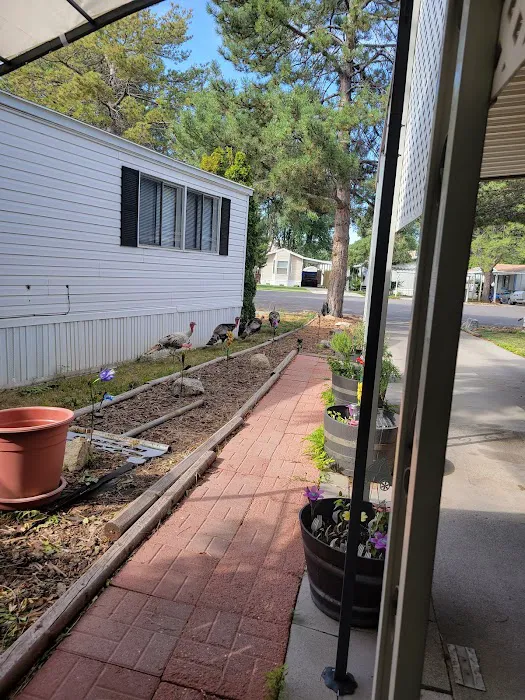 All Seasons Picture 4