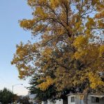 Imperial Mobile Home Park