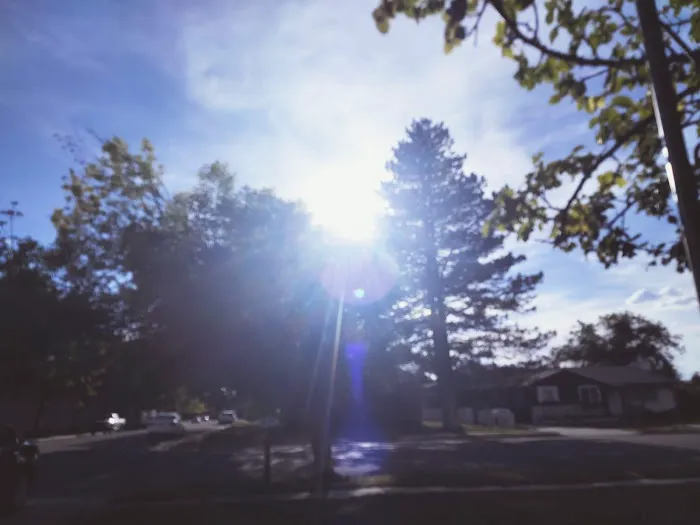 Mapleview Mobile Home Park Picture 1