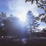 Mapleview Mobile Home Park