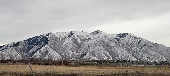 South Springville Terrace Mobile Home Community Picture 1