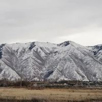 South Springville Terrace Mobile Home Community ico