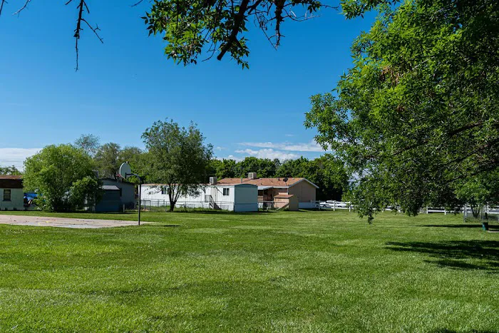 Willow Pines Picture 6