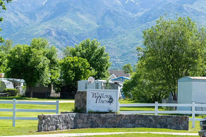 Willow Pines Picture 5