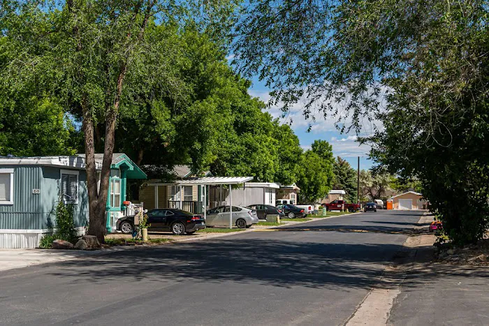 Willow Pines Picture 8