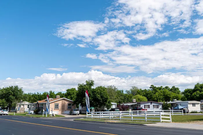 Willow Pines Picture 7