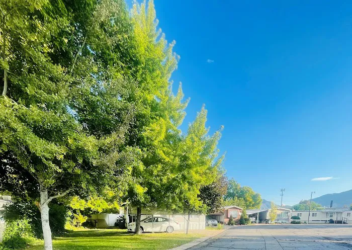 Circle L Manufactured Home Community Picture 9