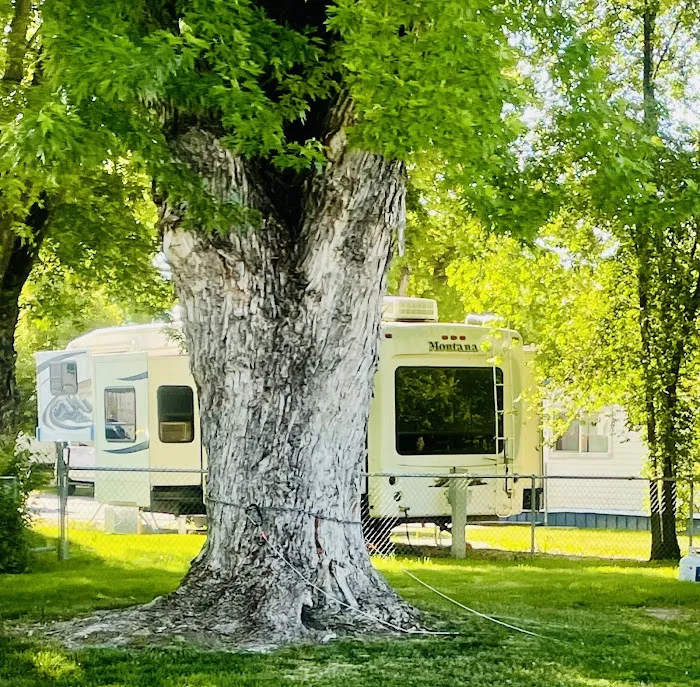 Circle L Manufactured Home Community Picture 6