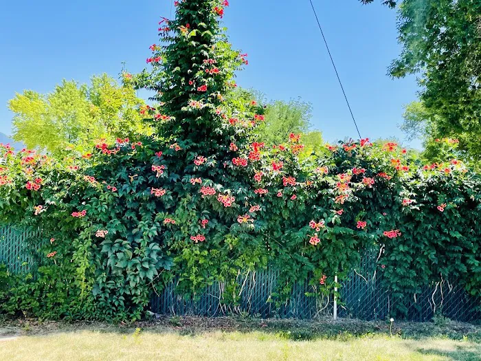 Circle L Manufactured Home Community Picture 2