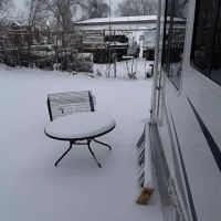 Manufacturing home community ico