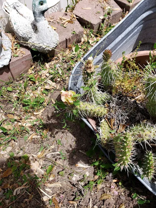 Park Village Mobile Home Park Office Picture 9