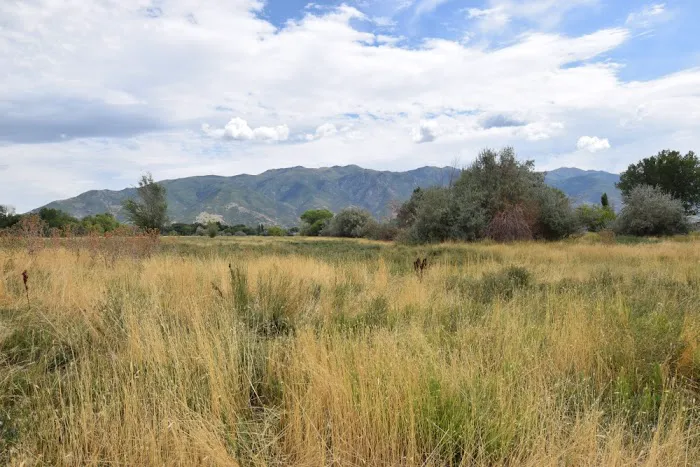 Lakeview Estates Manufactured Home Community Picture 2