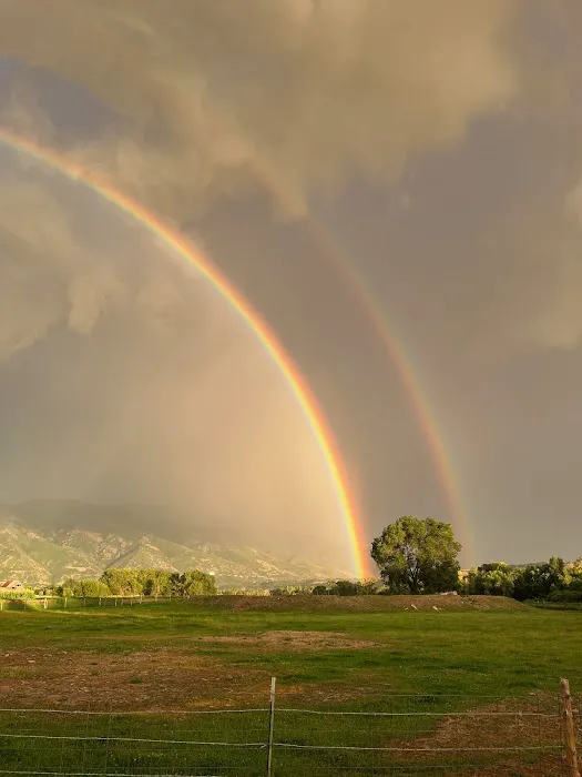 Cottonwood Estates Picture 4