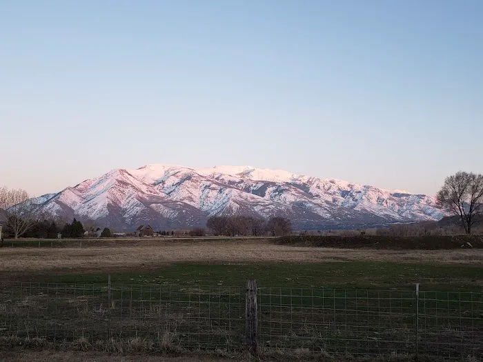 Cottonwood Picture 2