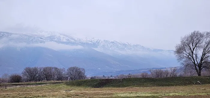 Cottonwood Picture 1