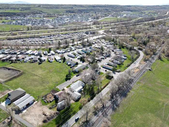 Cottonwood Picture 6