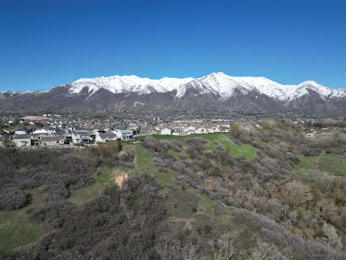 Cottonwood Picture 5