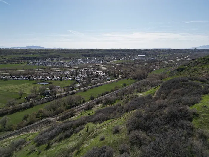 Cottonwood Picture 3