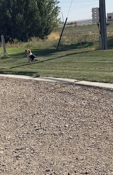 Jones High Country RV Camp Picture 10