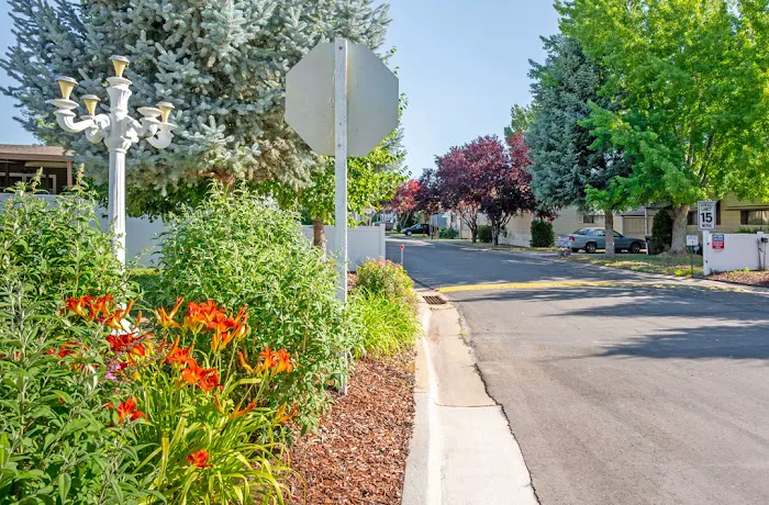 Cambridge Park Picture 1