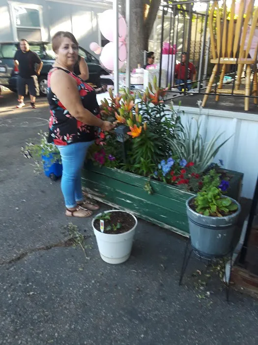 Riverside Village Picture 4