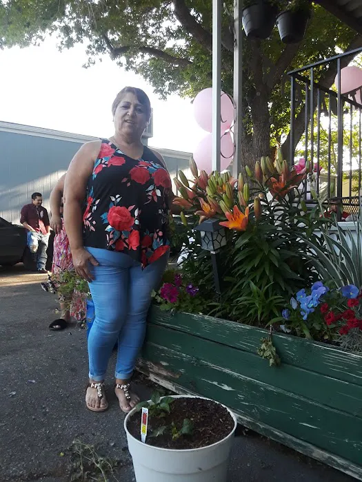 Riverside Village Picture 3