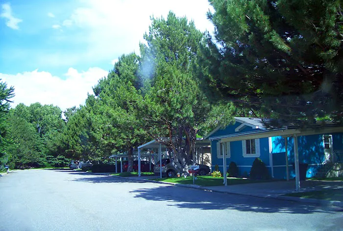 Midland Community Picture 6