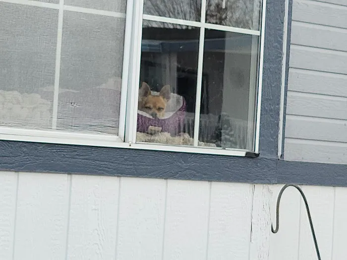 Country Meadows Community Picture 2