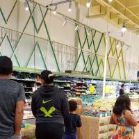 Country Meadows Community ico