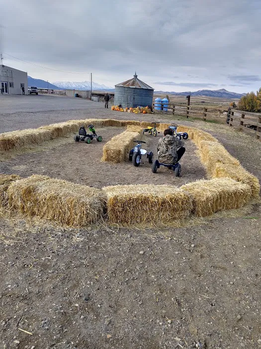 Chester trailer park Picture 1