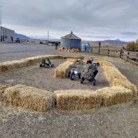 Chester trailer park ico