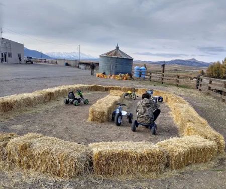 Chester trailer park