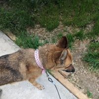 Millcreek Mobile Homes ico