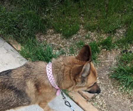 Millcreek Mobile Homes